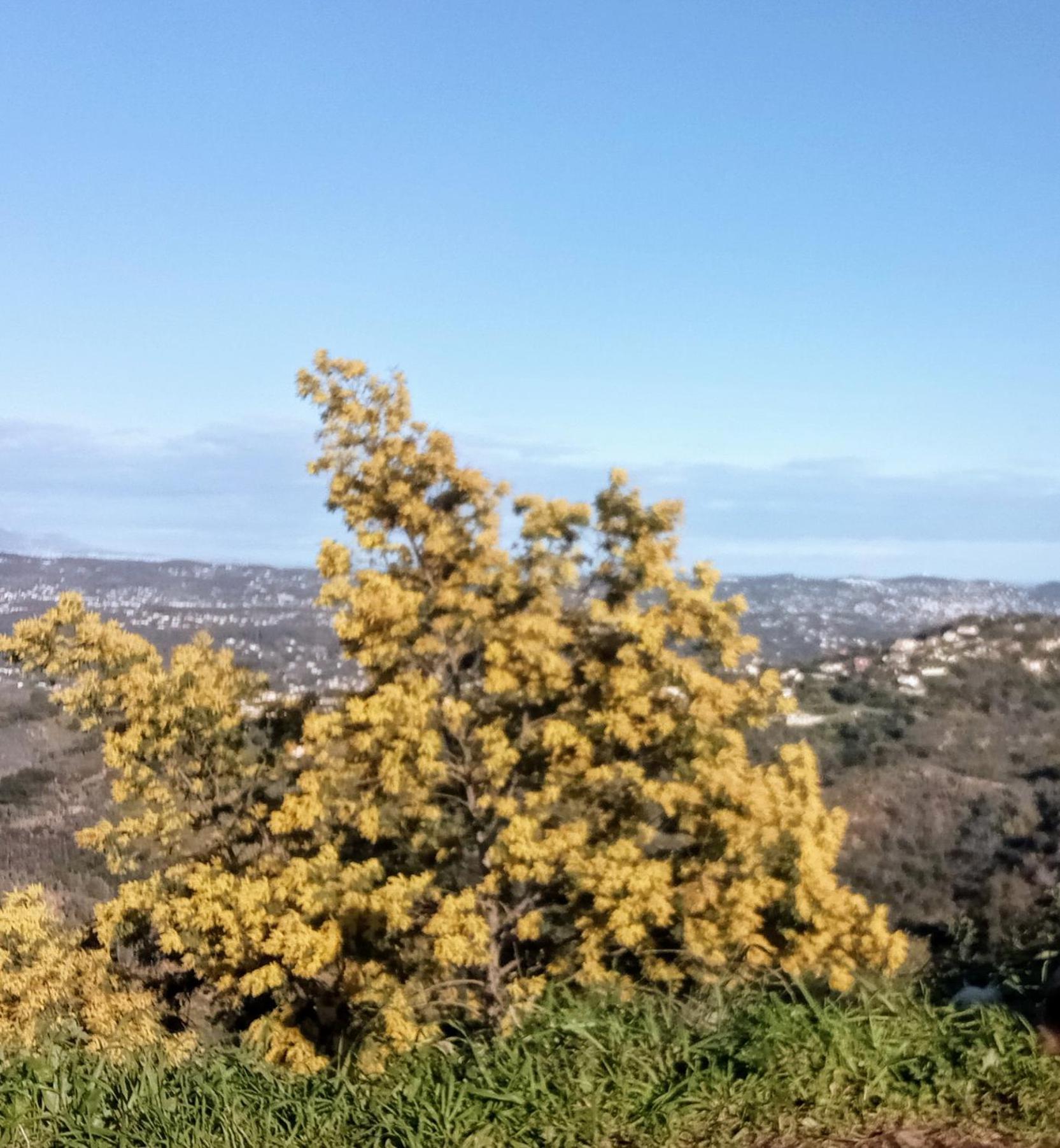 La Quietude * Peymeinade